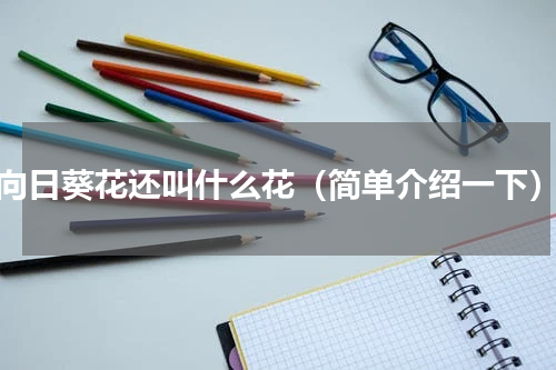 向日葵花还叫什么花（简单介绍一下）