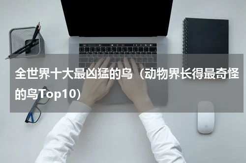 全世界十大最凶猛的鸟（动物界长得最奇怪的鸟Top10）