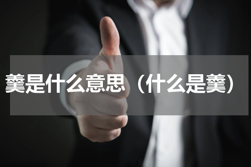 羹是什么意思（什么是羹）