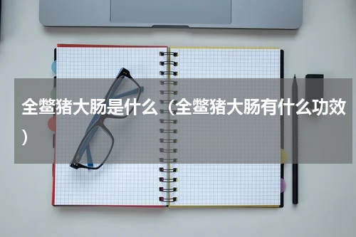 全鳖猪大肠是什么（全鳖猪大肠有什么功效）
