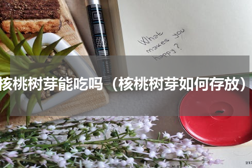 核桃树芽能吃吗（核桃树芽如何存放）