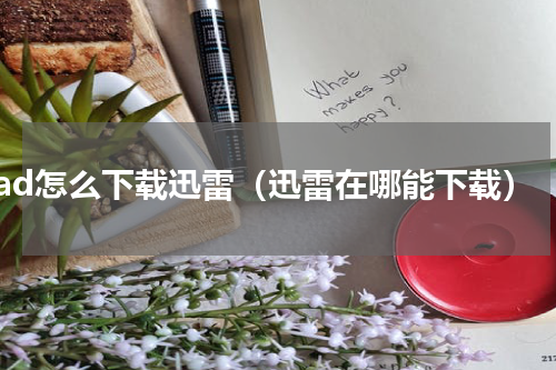 ipad怎么下载迅雷（迅雷在哪能下载）