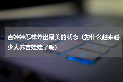 吉娃娃怎样养出最美的状态（为什么越来越少人养吉娃娃了呢）