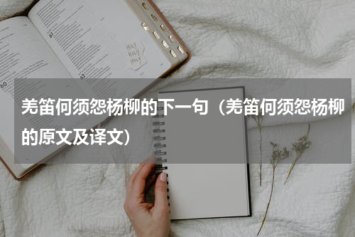羌笛何须怨杨柳的下一句（羌笛何须怨杨柳的原文及译文）