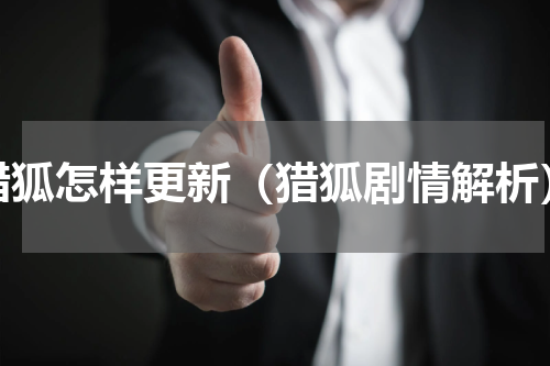 猎狐怎样更新（猎狐剧情解析）
