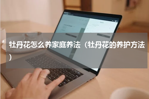 牡丹花怎么养家庭养法（牡丹花的养护方法）