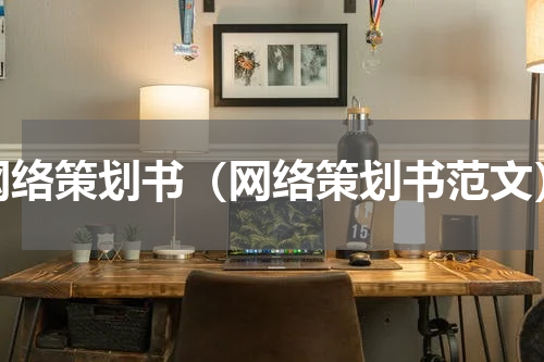 网络策划书（网络策划书范文）