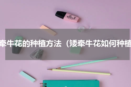矮牵牛花的种植方法（矮牵牛花如何种植）