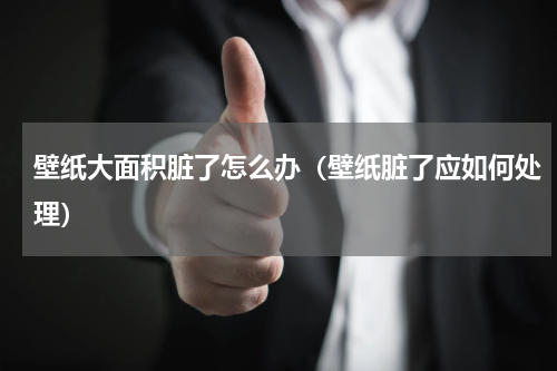 壁纸大面积脏了怎么办（壁纸脏了应如何处理）
