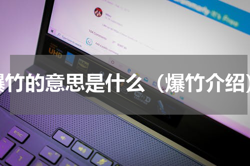 爆竹的意思是什么（爆竹介绍）