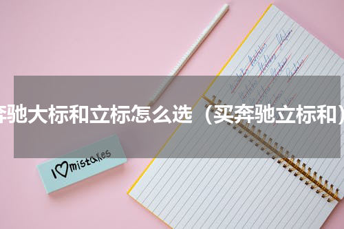 奔驰大标和立标怎么选（买奔驰立标和）