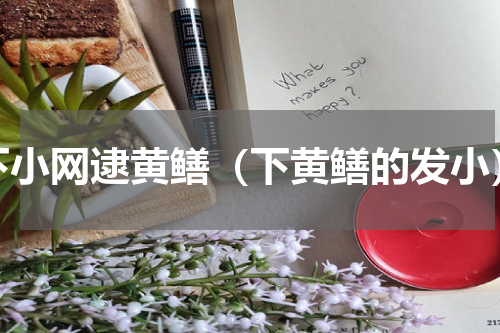 下小网逮黄鳝（下黄鳝的发小）