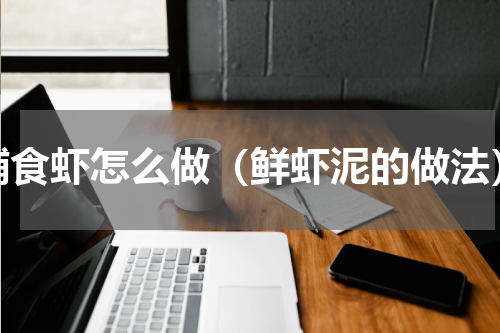 辅食虾怎么做（鲜虾泥的做法）