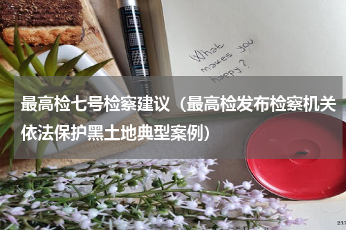 最高检七号检察建议（最高检发布检察机关依法保护黑土地典型案例）