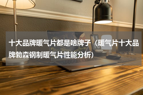 十大品牌暖气片都是啥牌子（暖气片十大品牌勃森钢制暖气片性能分析）