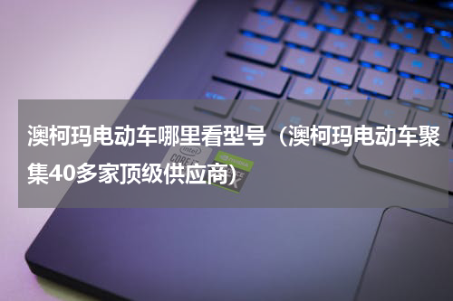 澳柯玛电动车哪里看型号（澳柯玛电动车聚集40多家顶级供应商）