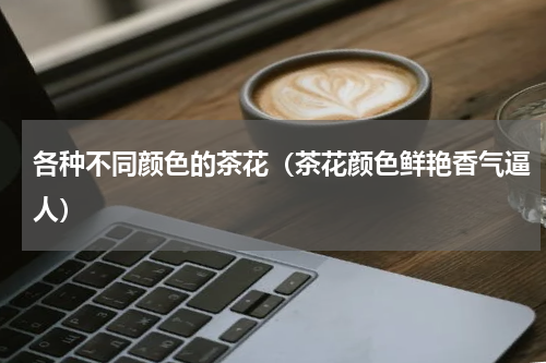 各种不同颜色的茶花（茶花颜色鲜艳香气逼人）