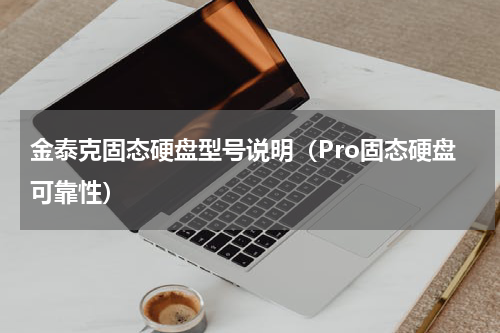 金泰克固态硬盘型号说明（Pro固态硬盘可靠性）