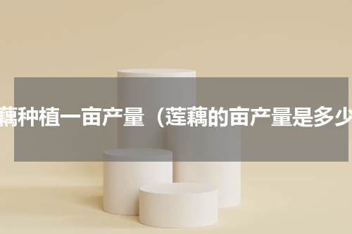 莲藕种植一亩产量（莲藕的亩产量是多少）