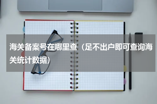 海关备案号在哪里查（足不出户即可查询海关统计数据）