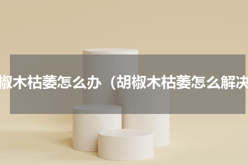 胡椒木枯萎怎么办（胡椒木枯萎怎么解决）