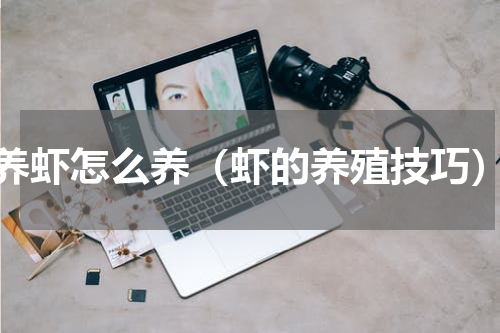 养虾怎么养（虾的养殖技巧）