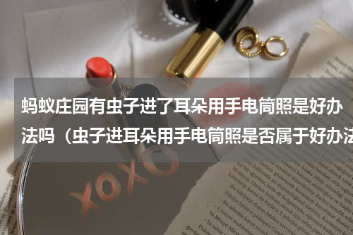 蚂蚁庄园有虫子进了耳朵用手电筒照是好办法吗（虫子进耳朵用手电筒照是否属于好办法）