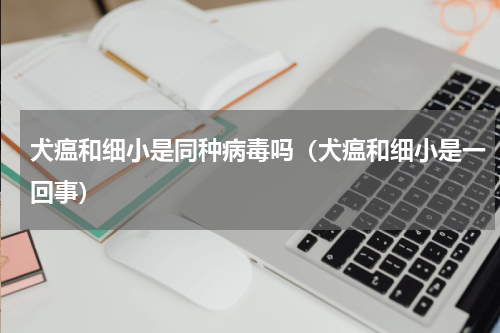 犬瘟和细小是同种病毒吗（犬瘟和细小是一回事）