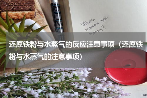 还原铁粉与水蒸气的反应注意事项（还原铁粉与水蒸气的注意事项）