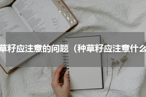 种草籽应注意的问题（种草籽应注意什么）