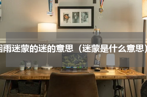 烟雨迷蒙的迷的意思（迷蒙是什么意思）