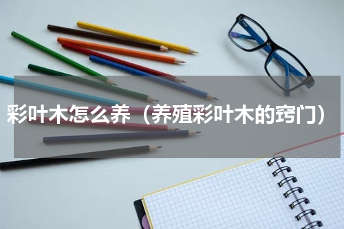 彩叶木怎么养（养殖彩叶木的窍门）