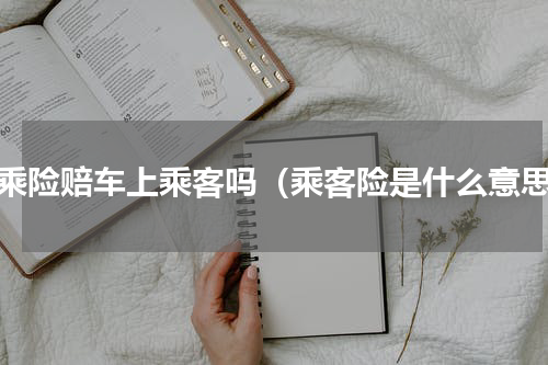 驾乘险赔车上乘客吗（乘客险是什么意思）