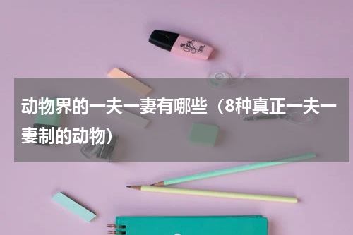 动物界的一夫一妻有哪些（8种真正一夫一妻制的动物）