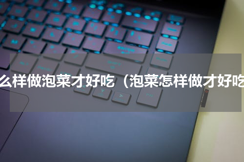 怎么样做泡菜才好吃（泡菜怎样做才好吃）