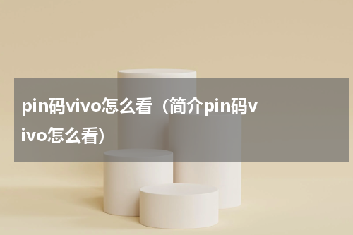 pin码vivo怎么看（简介pin码vivo怎么看）