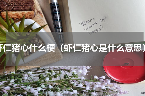 虾仁猪心什么梗（虾仁猪心是什么意思）