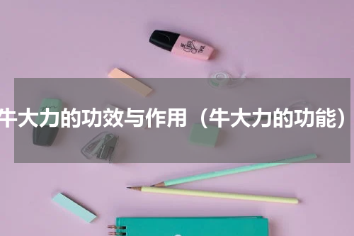 牛大力的功效与作用（牛大力的功能）