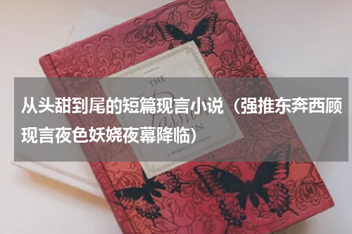 从头甜到尾的短篇现言小说（强推东奔西顾现言夜色妖娆夜幕降临）