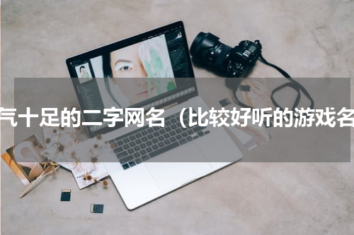 仙气十足的二字网名（比较好听的游戏名）