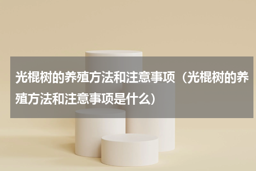 光棍树的养殖方法和注意事项（光棍树的养殖方法和注意事项是什么）