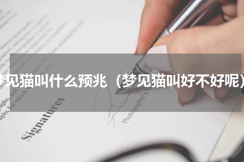 梦见猫叫什么预兆（梦见猫叫好不好呢）