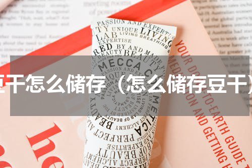 豆干怎么储存（怎么储存豆干）