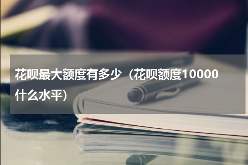 花呗最大额度有多少（花呗额度10000什么水平）