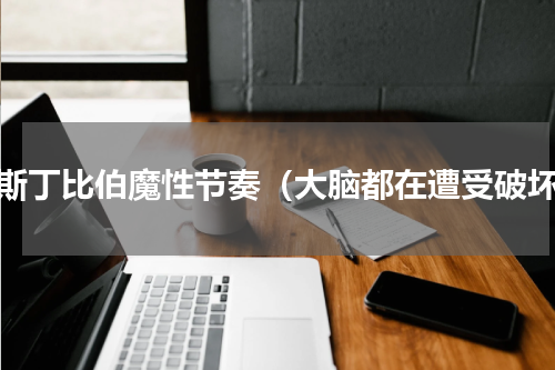 贾斯丁比伯魔性节奏（大脑都在遭受破坏）