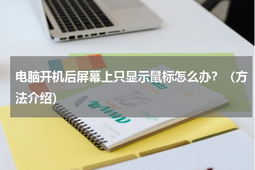 电脑开机后屏幕上只显示鼠标怎么办？（方法介绍）