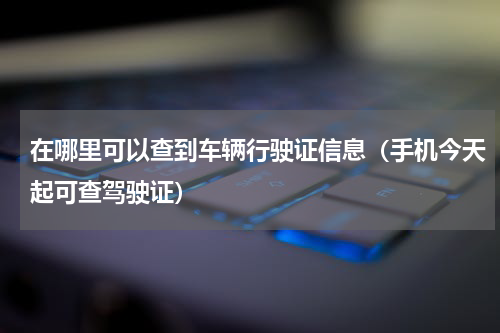 在哪里可以查到车辆行驶证信息（手机今天起可查驾驶证）
