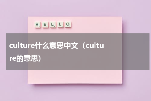 culture什么意思中文（culture的意思）