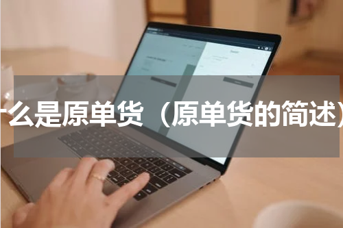 什么是原单货（原单货的简述）
