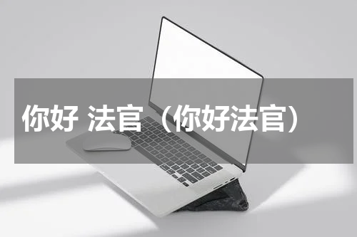你好 法官（你好法官）